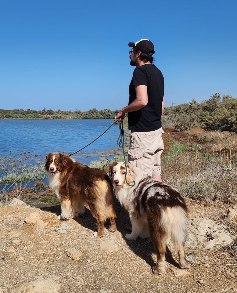 איך לשמור על כלבי רועים אוסטרלים בטוחים ובריאים במהלך טיולי קיץ