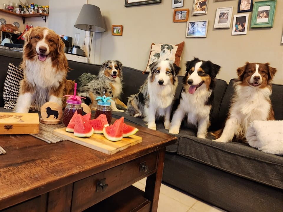 Refreshing toys and games for summer