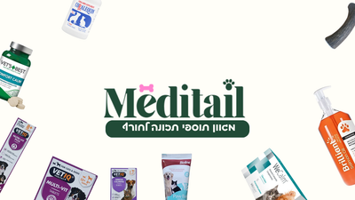 איך נשמור על שגרת וולנס בחורף לרועים האוסטרלים שלנו?