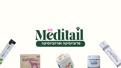 פרהביוטיקה ופרוביוטיקה לכלבים