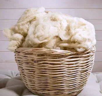 🌿 Raw Sheep Wool