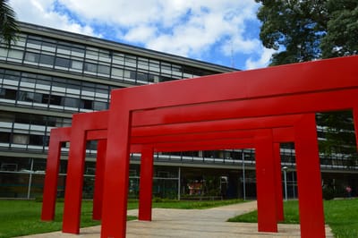 educação  image