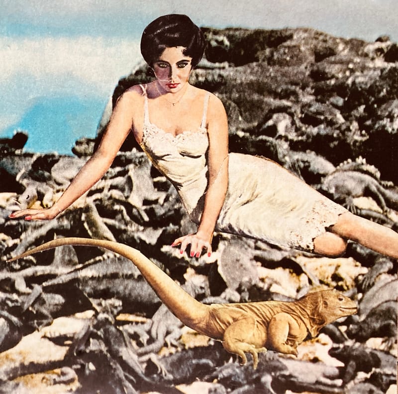 LEFT: Day Of The Iguana (2024) 18 cm x 18 cm ~ CENTRE: Do Androids Dream Of Electric Sheep (2024) 18 cm x 12 cm ~ RIGHT: Starry, Starry Flight (2024) 15 cm x 11 cm