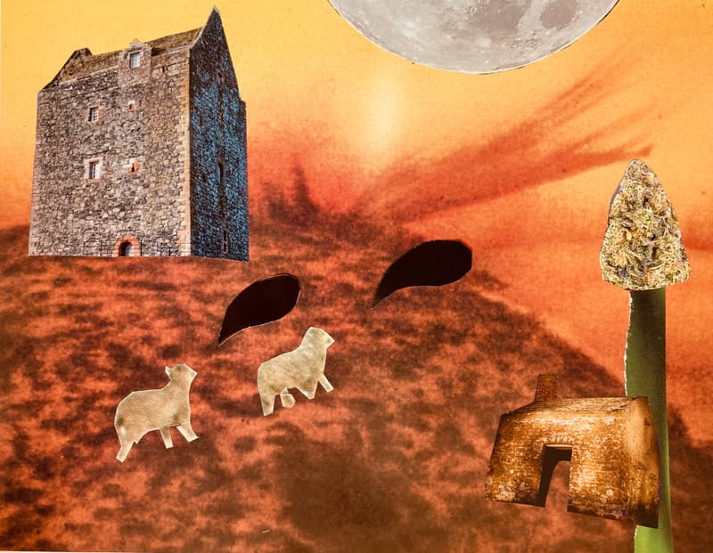 LEFT: Day Of The Iguana (2024) 18 cm x 18 cm ~ CENTRE: Do Androids Dream Of Electric Sheep (2024) 18 cm x 12 cm ~ RIGHT: Starry, Starry Flight (2024) 15 cm x 11 cm