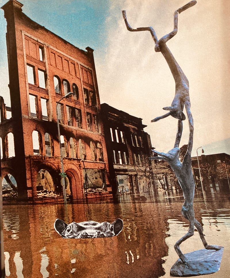 LEFT: Glenn Gould: The Bovine Variations (2025) 20 cm x 24 cm ~ CENTRE: Fish Out of Water (2025) 20 cm x 24 cm ~ LEFT: Feeding Grounds (2025)