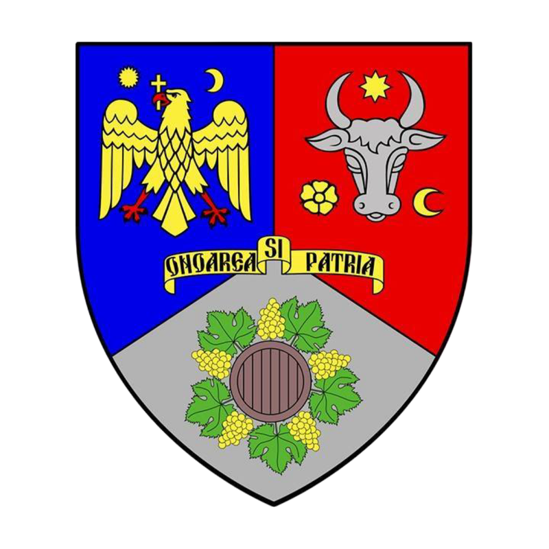 Cupa „MĂRȚIȘORUL VRANCEI” 2026