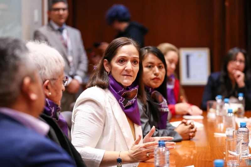 Reformas clave a la Ley Amazónica 2025 para la erradicación de la violencia de género