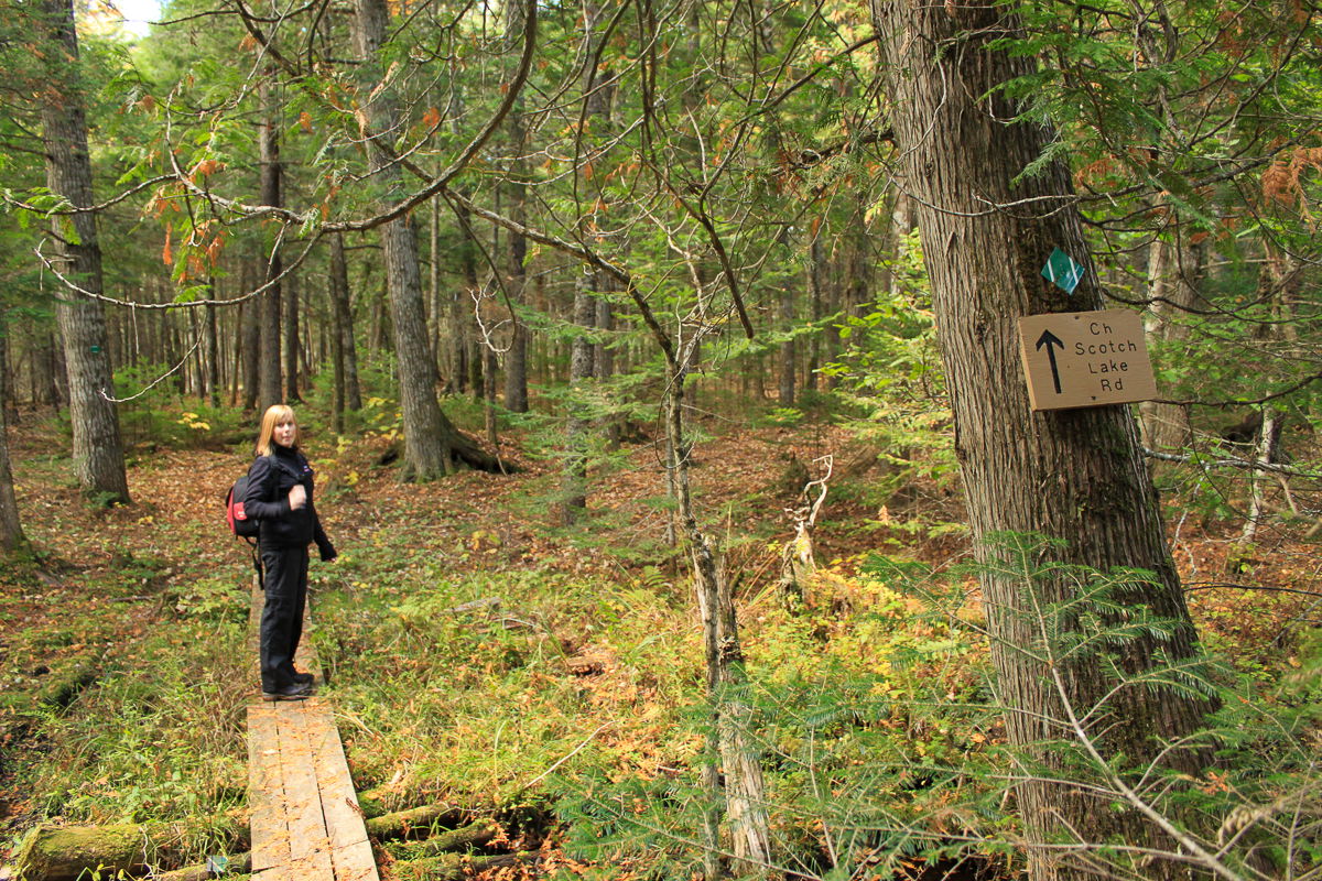 Mactaquac Provincial Park / Park Provincial Mactaquac