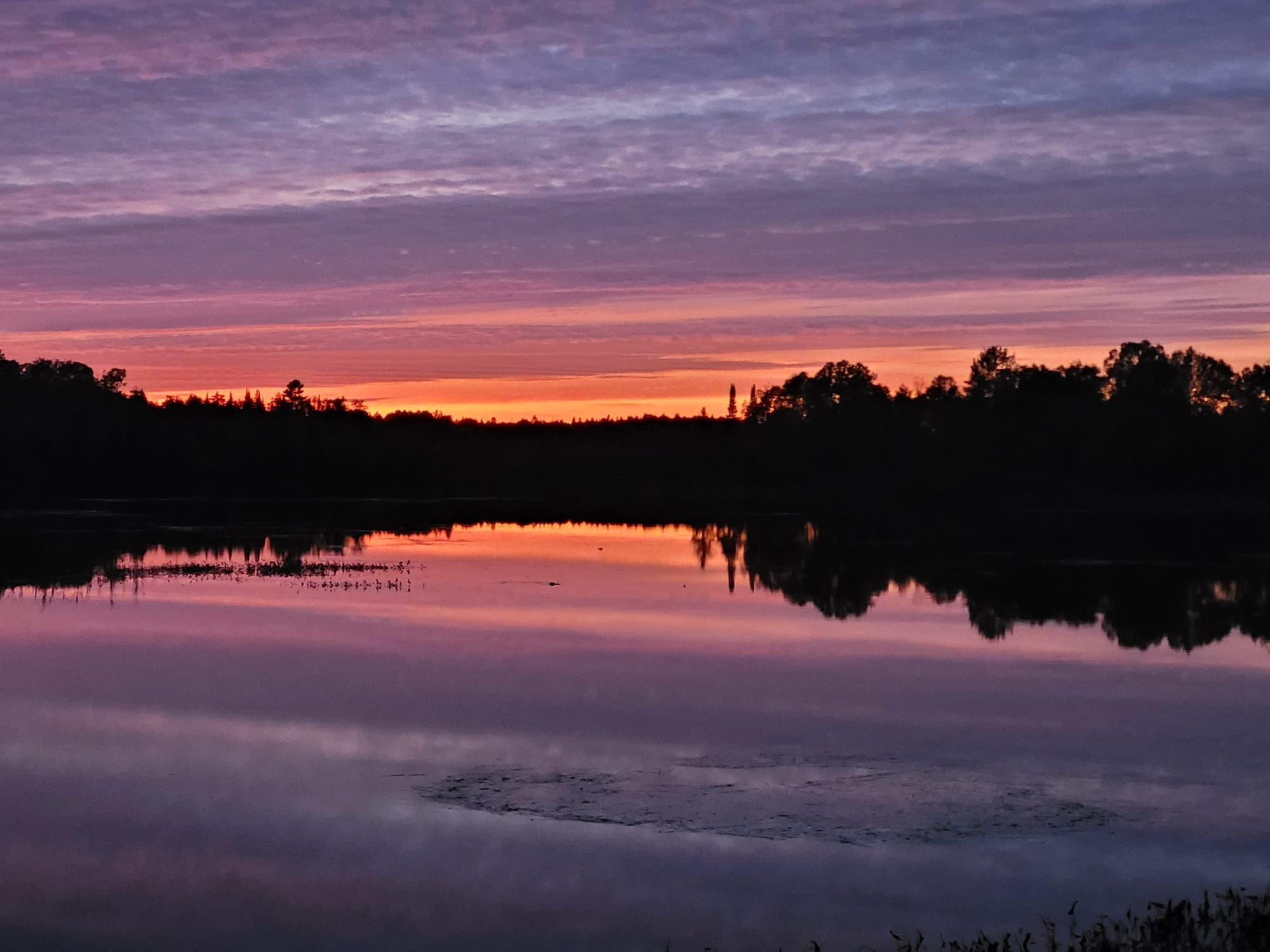 Brennan Hill's Camping & Cabins - South River, ON