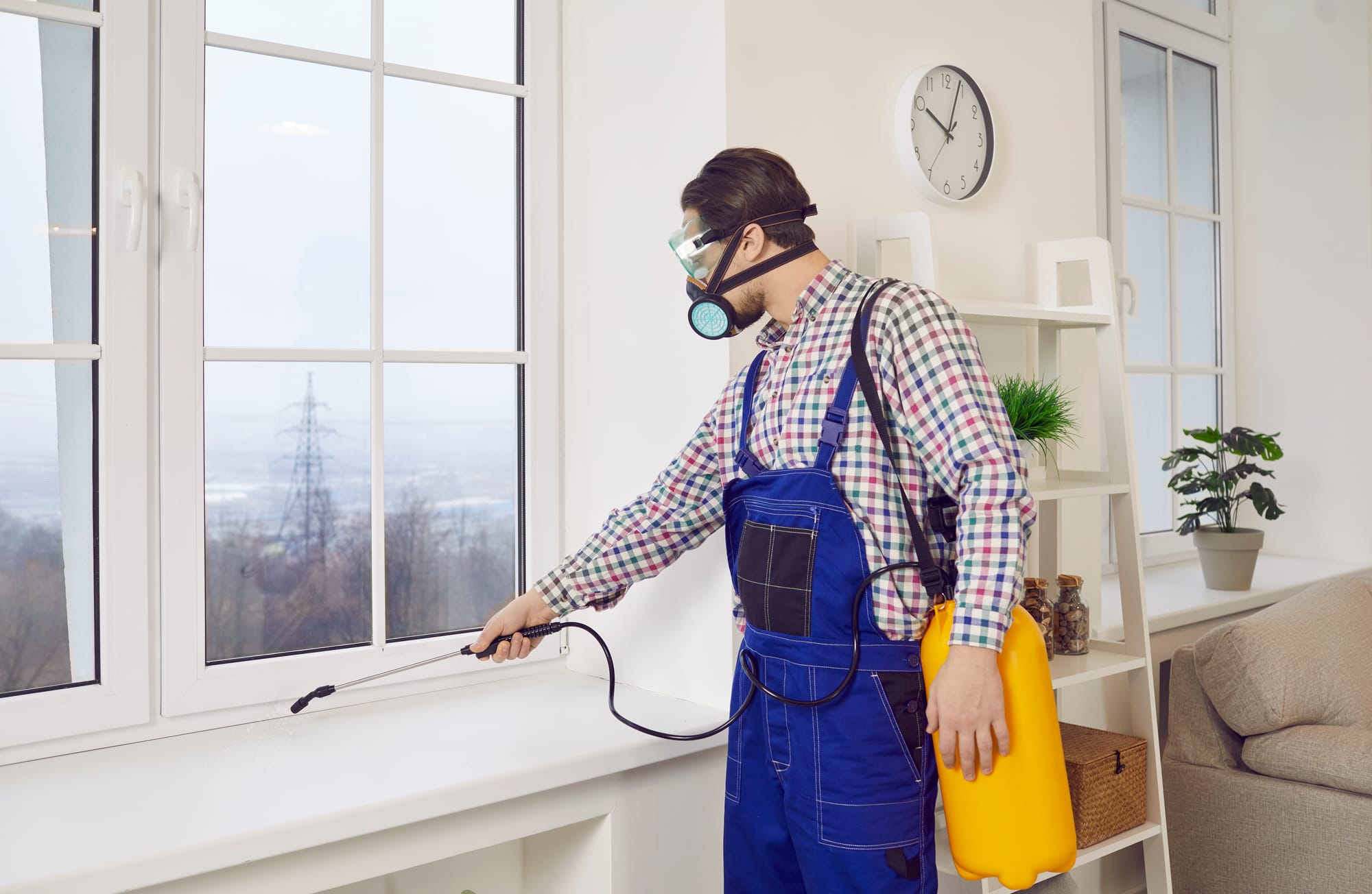 Effective, safe, and discreet pest control solutions for homes and businesses — protecting your property from insects, rodents, and other unwanted pests across the UAE.