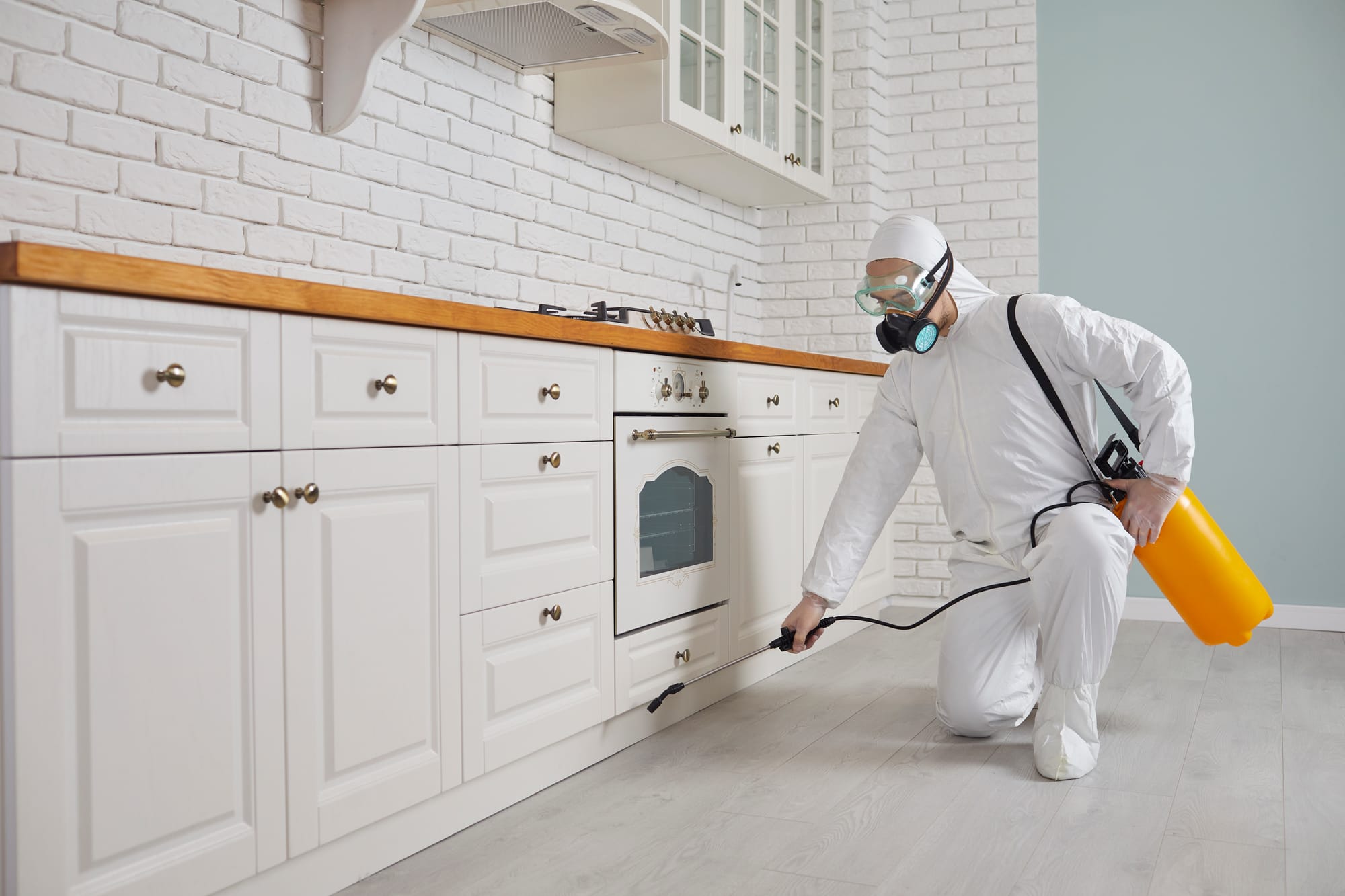 Professional-grade disinfection and sanitization services to protect your people, premises, and peace of mind.