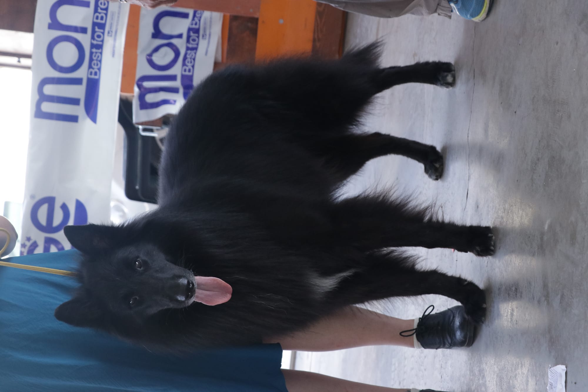 MARE NUBIUM del Sentiero dei Sogni