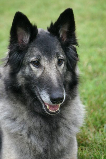 ARWEN