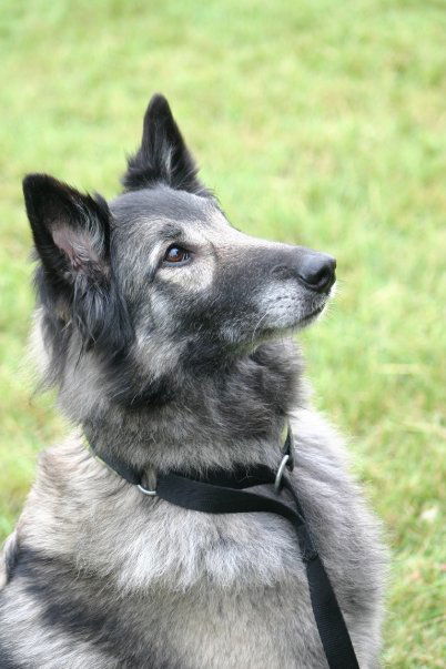 ARWEN