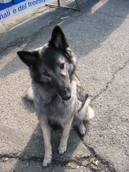 ARWEN