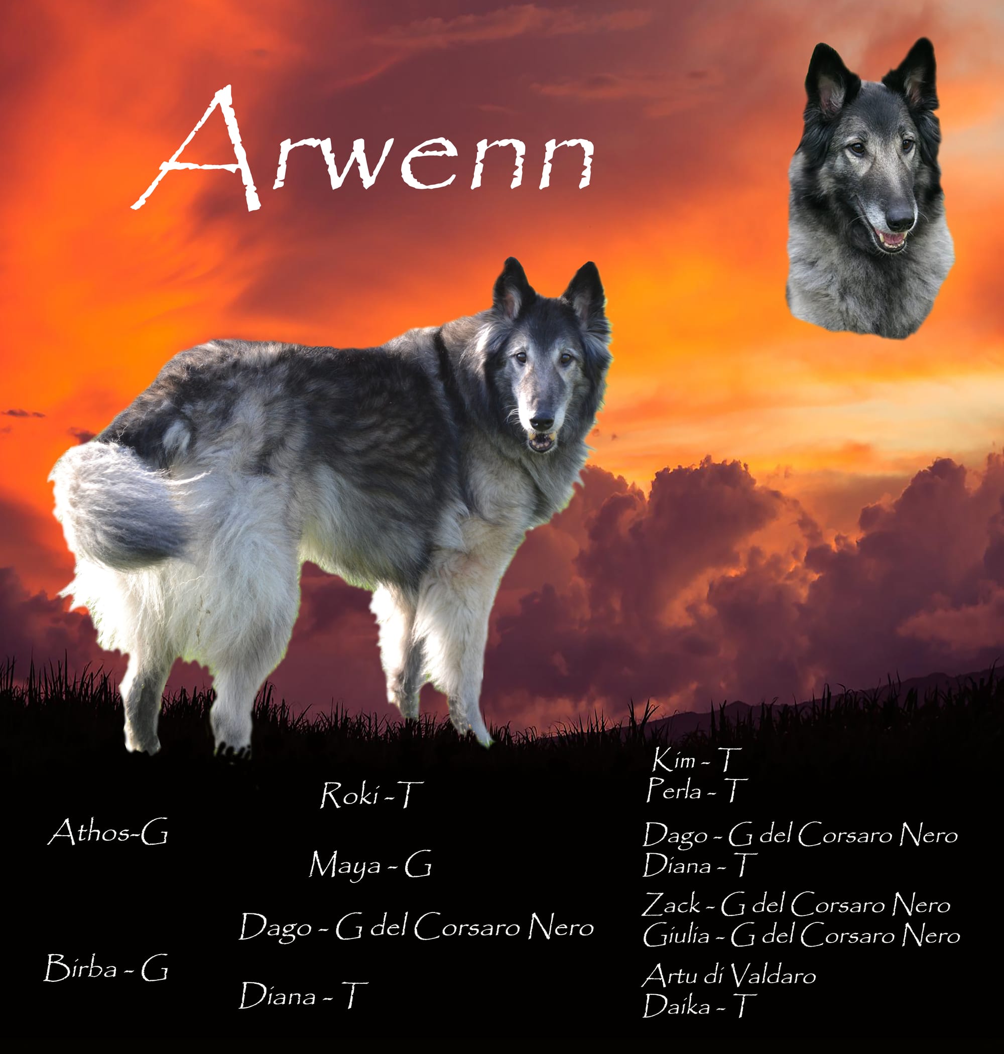 ARWEN