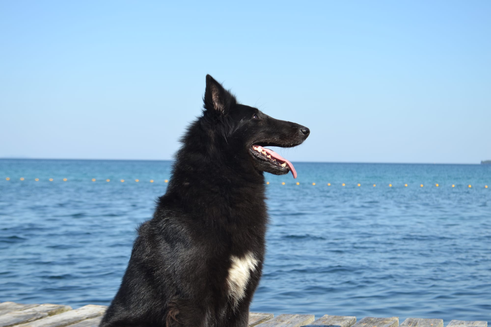 FATALE DU CHATEAU DE MONT MIRAIL