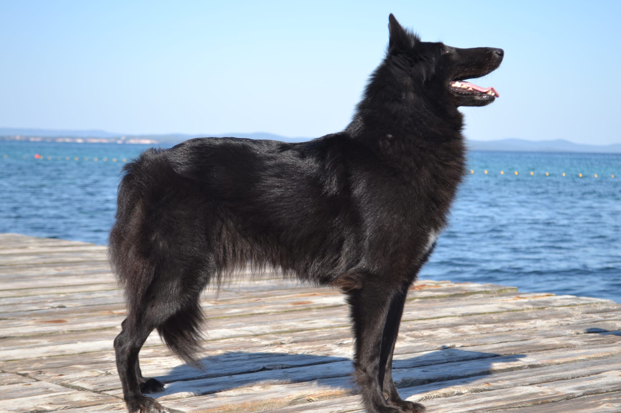 FATALE DU CHATEAU DE MONT MIRAIL