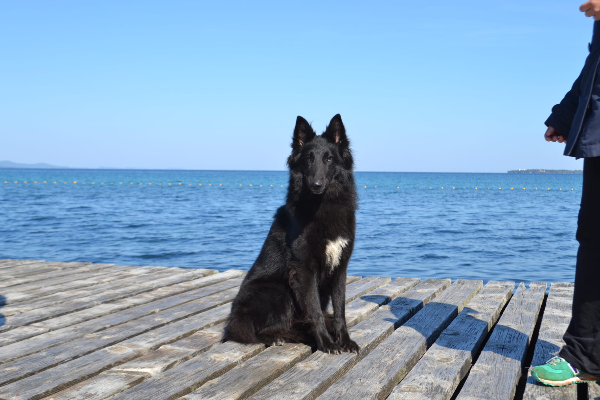 FATALE DU CHATEAU DE MONT MIRAIL