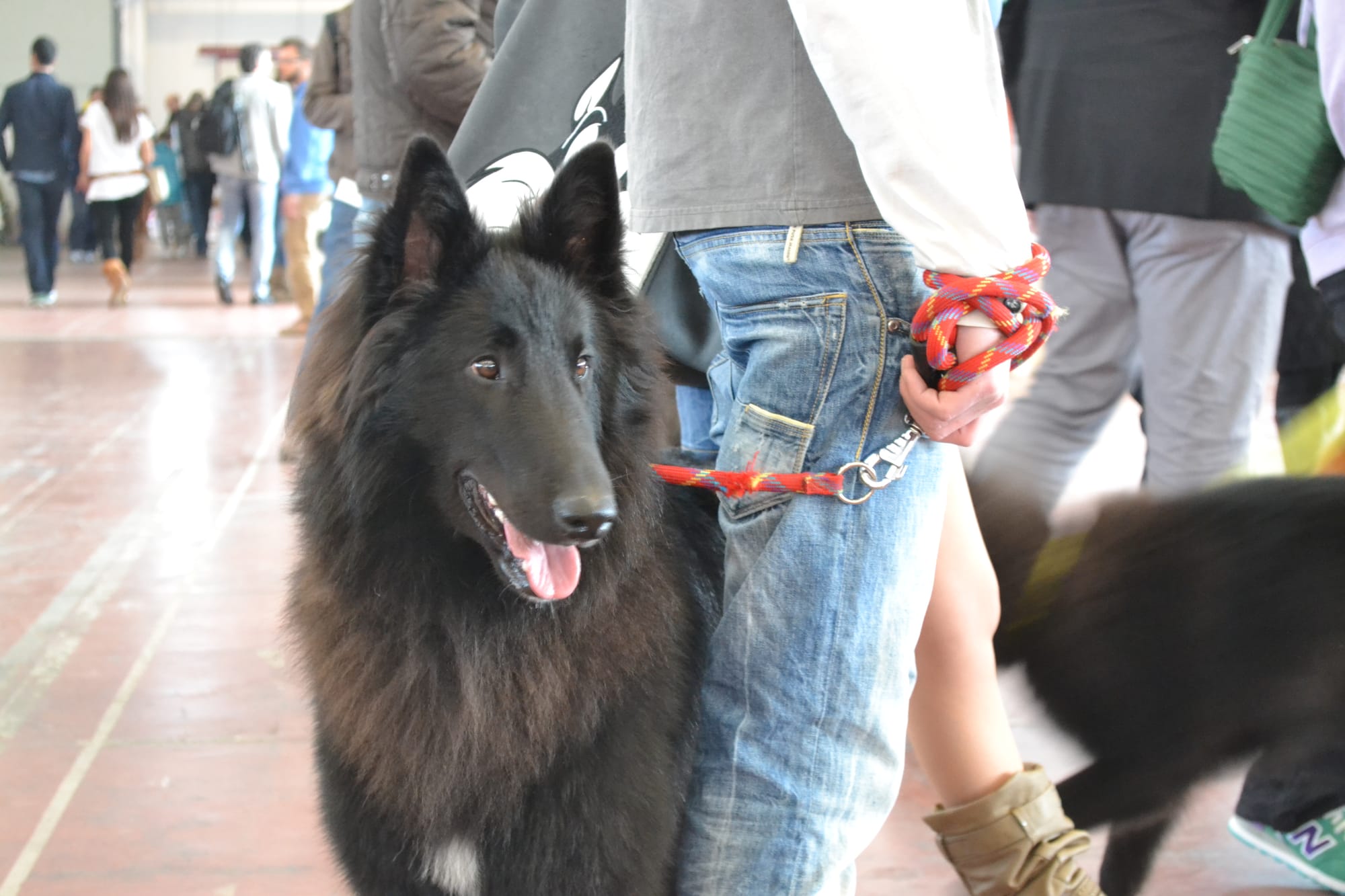 FATALE DU CHATEAU DE MONT MIRAIL