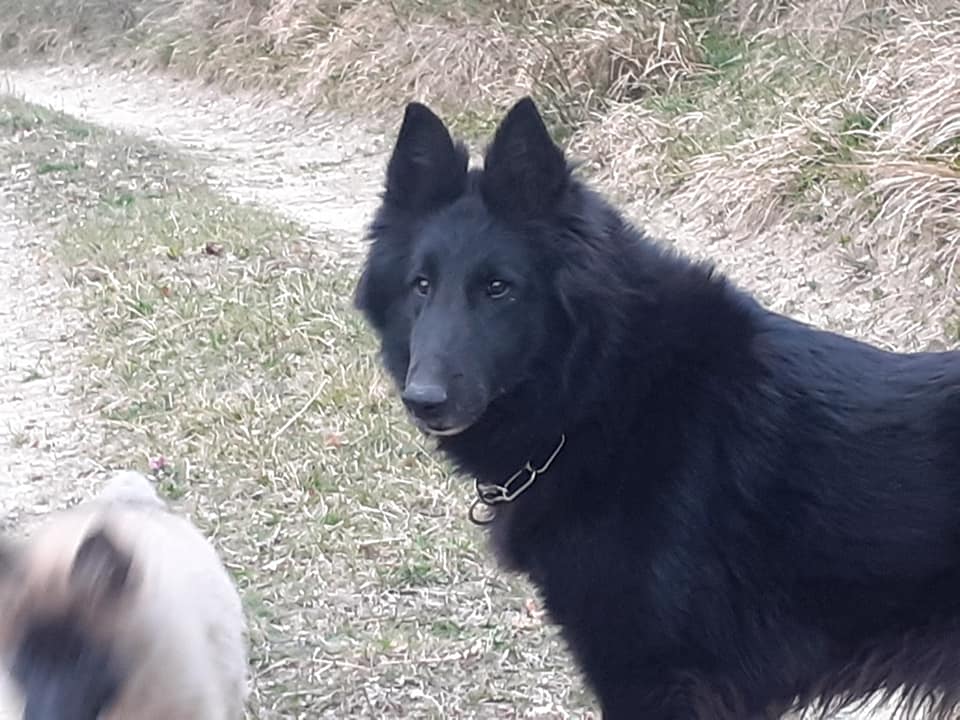 FATALE DU CHATEAU DE MONT MIRAIL