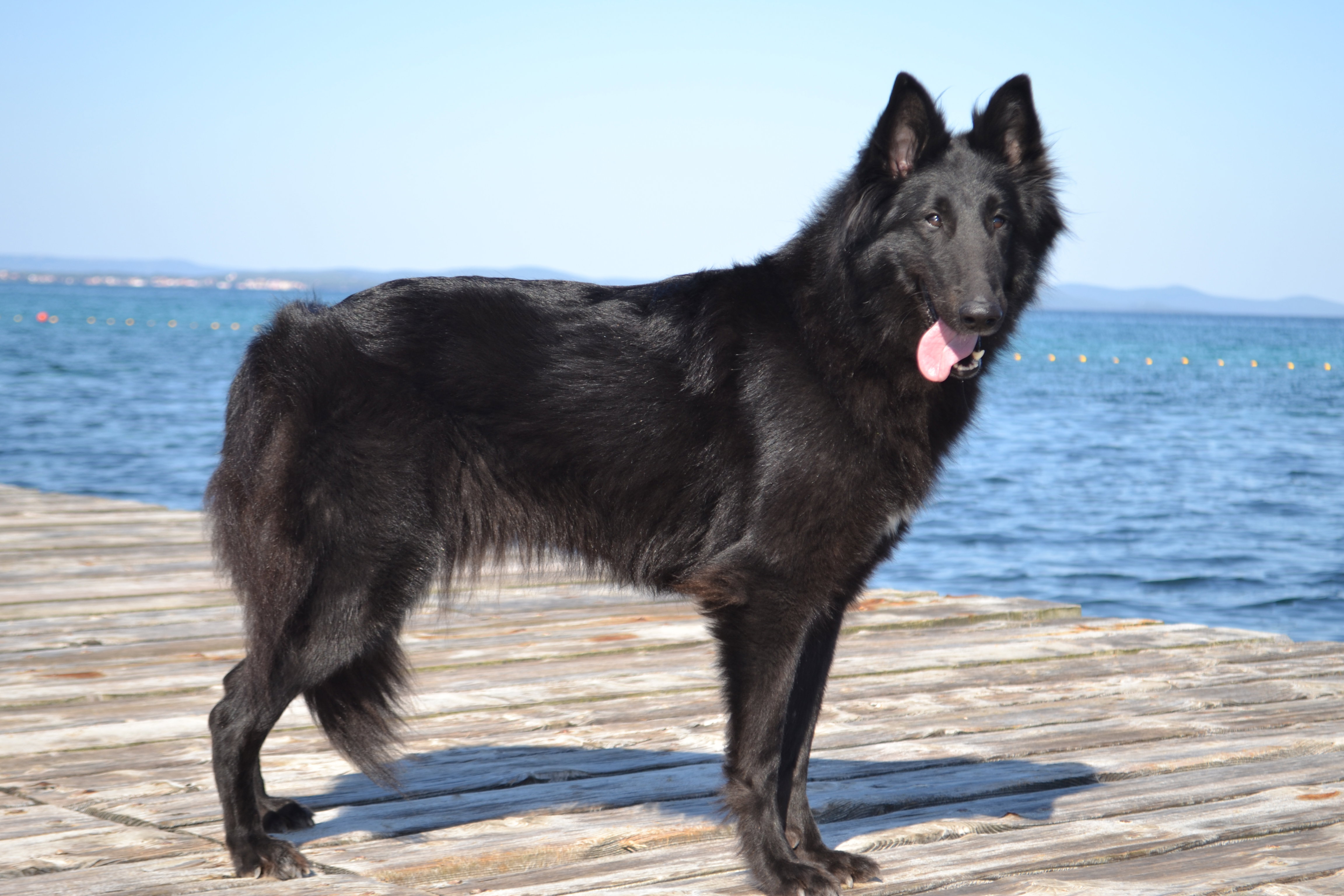 FATALE DU CHATEAU DE MONT MIRAIL