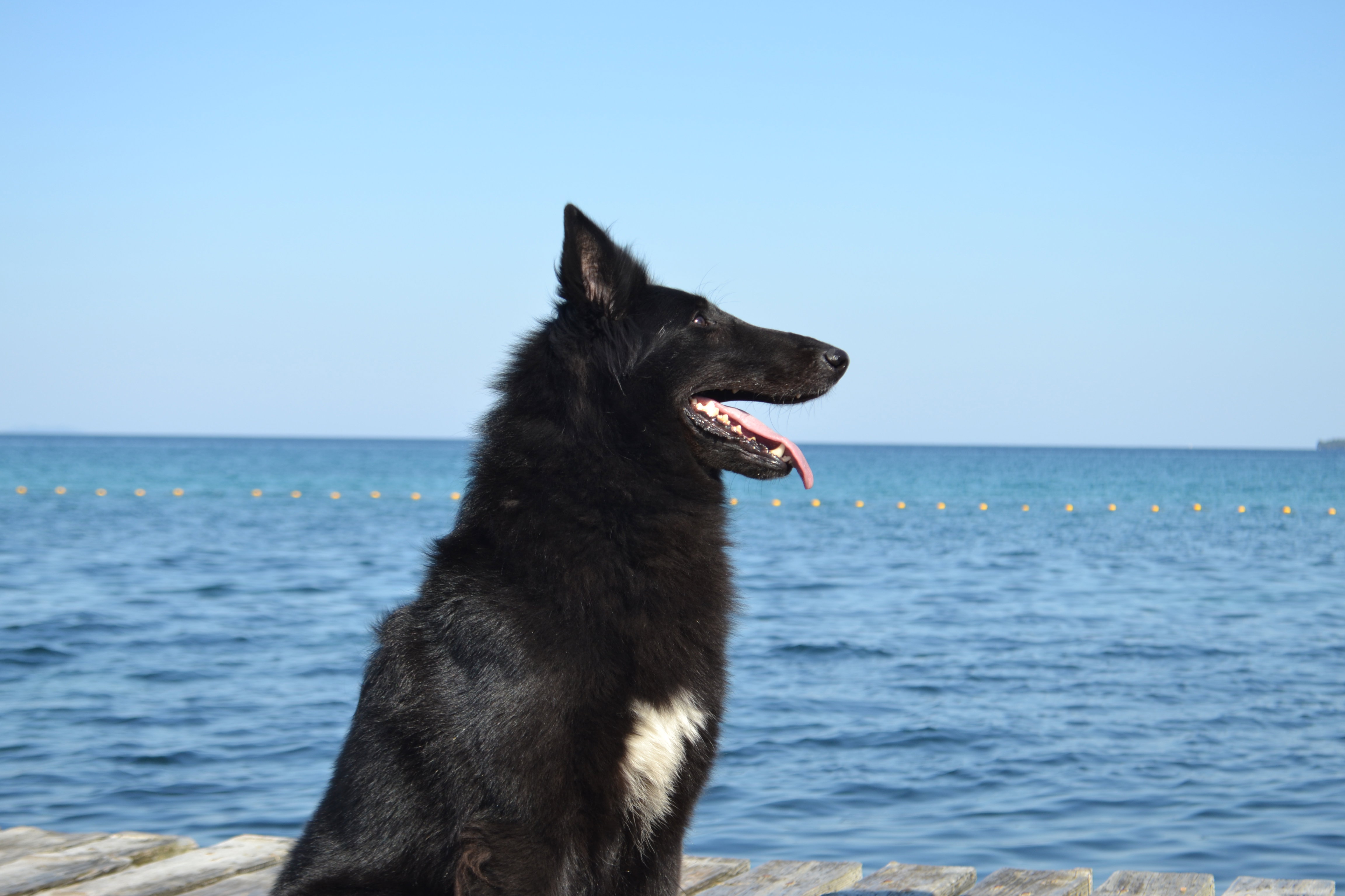 FATALE DU CHATEAU DE MONT MIRAIL