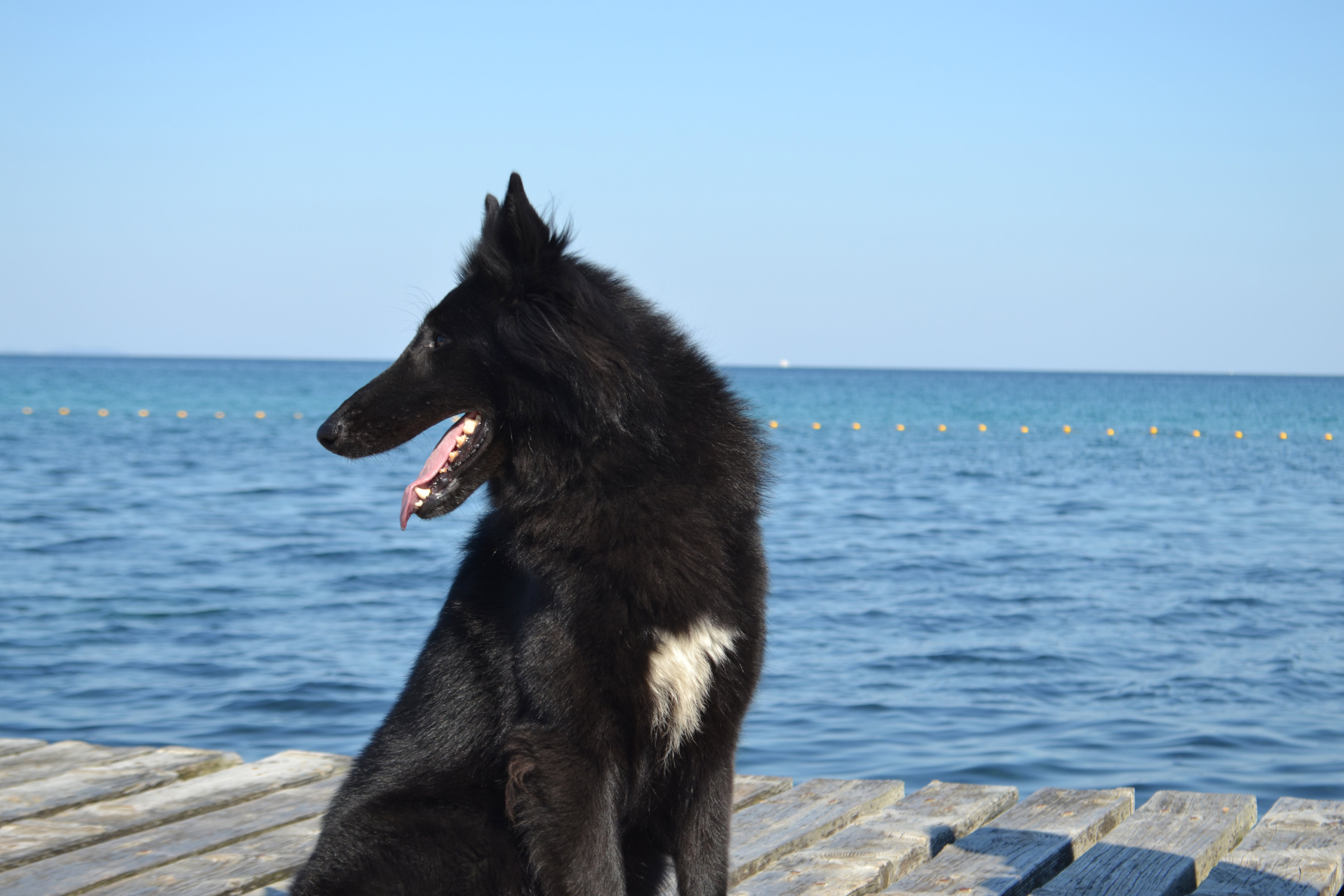 FATALE DU CHATEAU DE MONT MIRAIL