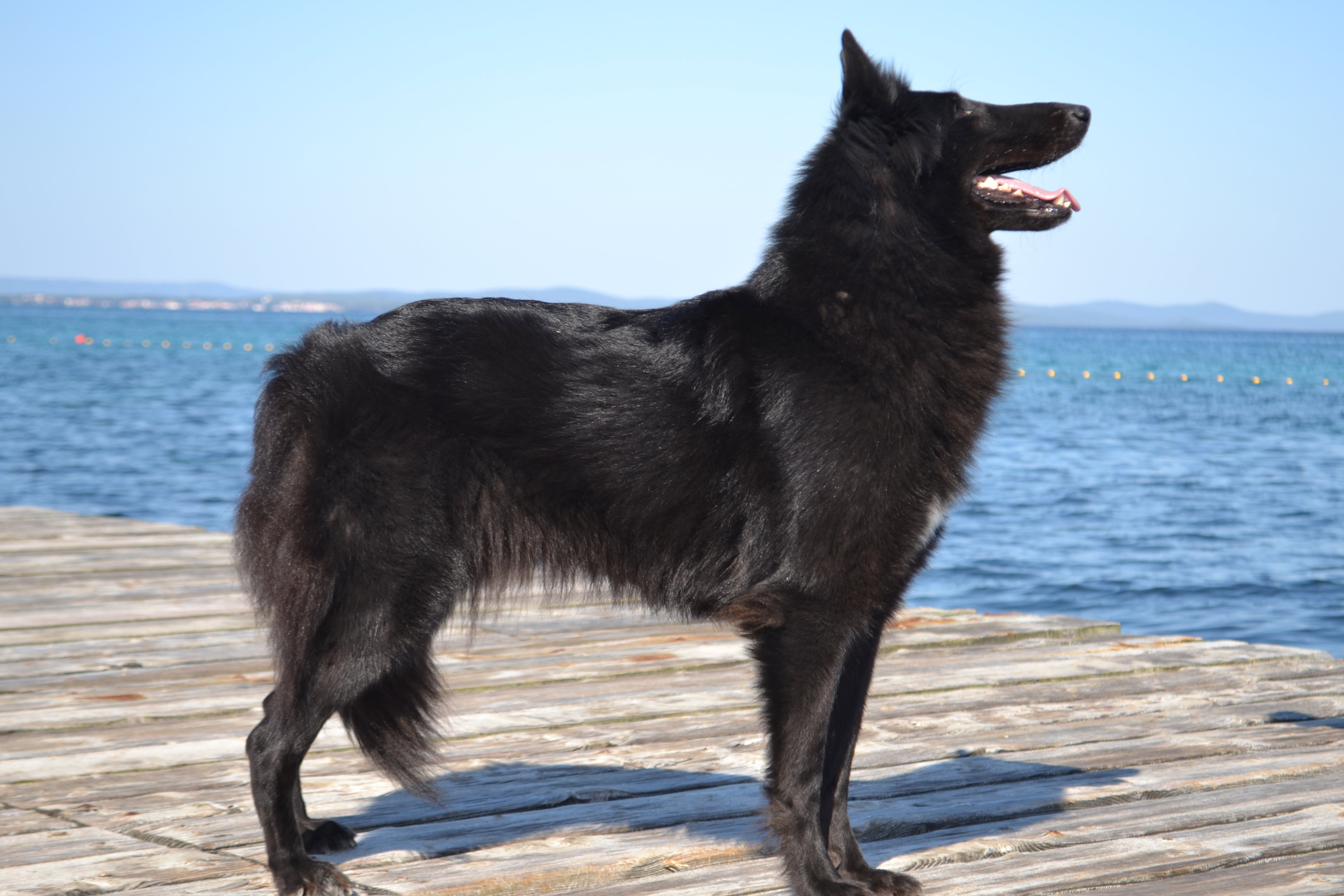 FATALE DU CHATEAU DE MONT MIRAIL