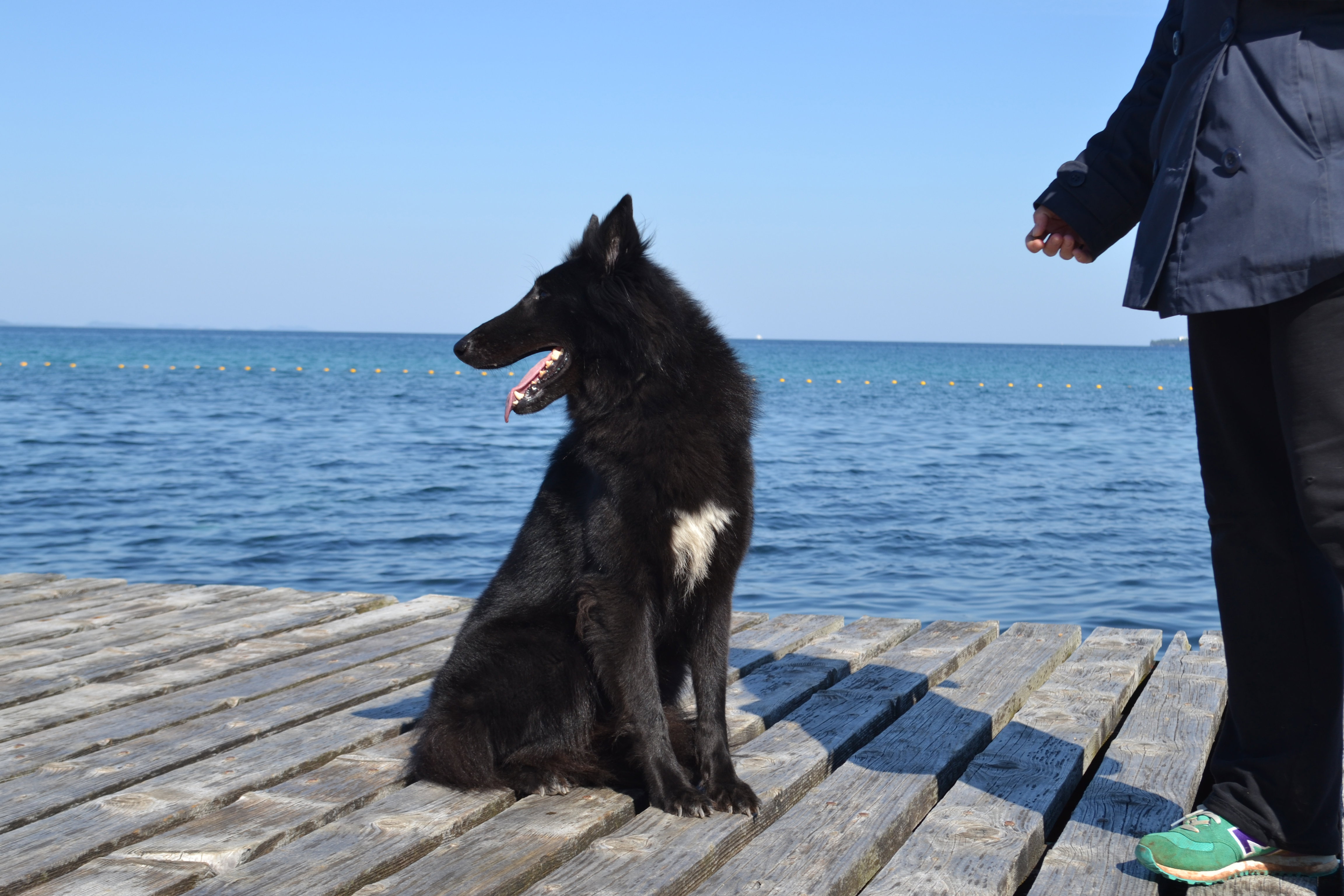 FATALE DU CHATEAU DE MONT MIRAIL