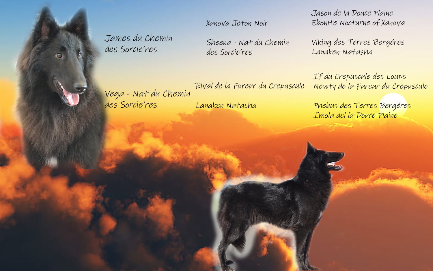 FATALE DU CHATEAU DE MONT MIRAIL