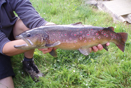 La bonne pêche à Burcin