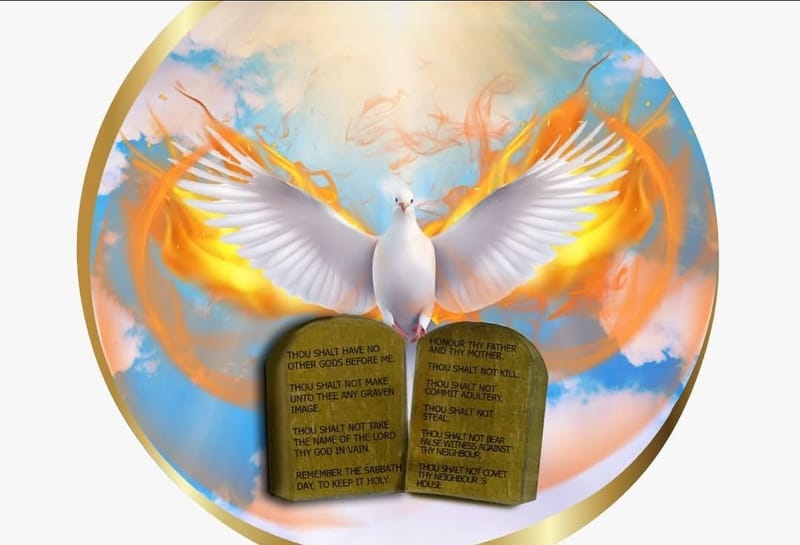 About us // Sobre nosotros image