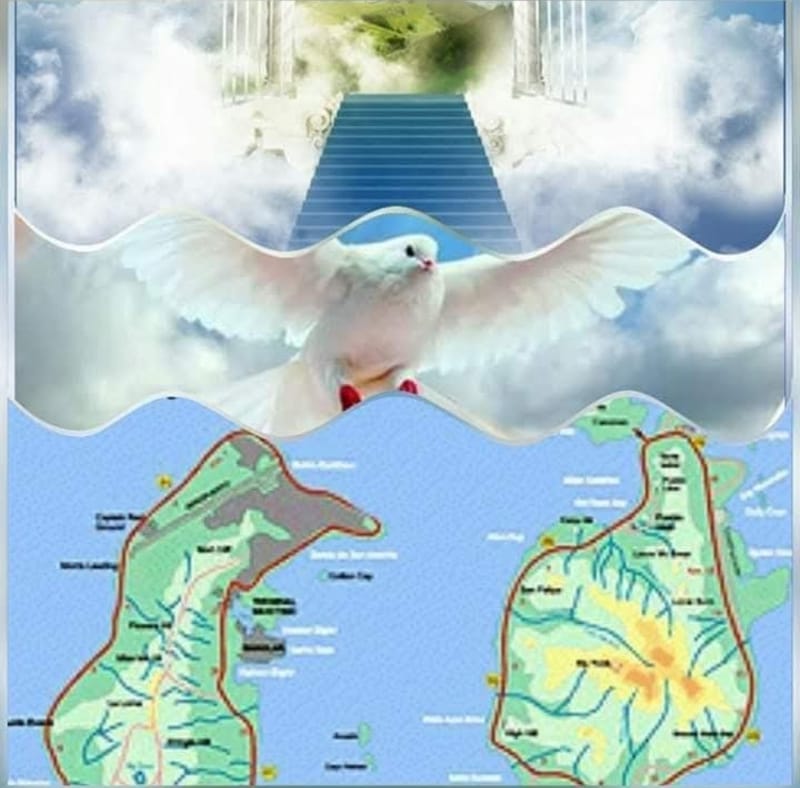 About us // Sobre nosotros image