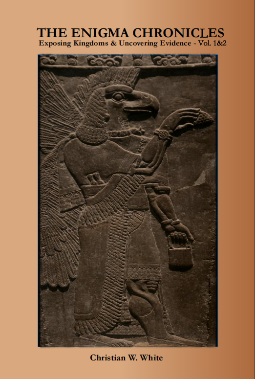 Why This Book? How to Get Your Copy (Below)