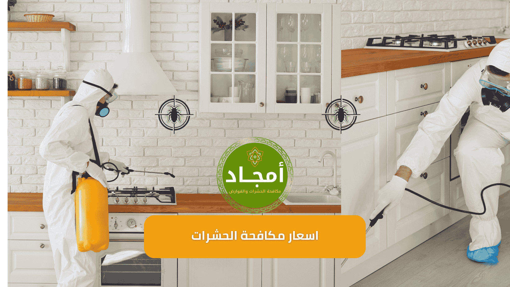 أسعار مكافحة الحشرات بالرياض – تعرف على التكلفة المناسبة لخدمتك