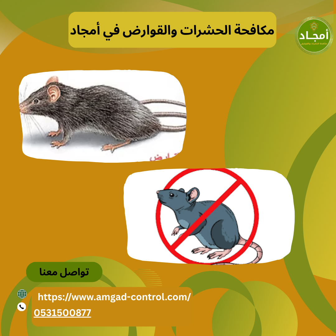 شركة مكافحة الحشرات في الرياض