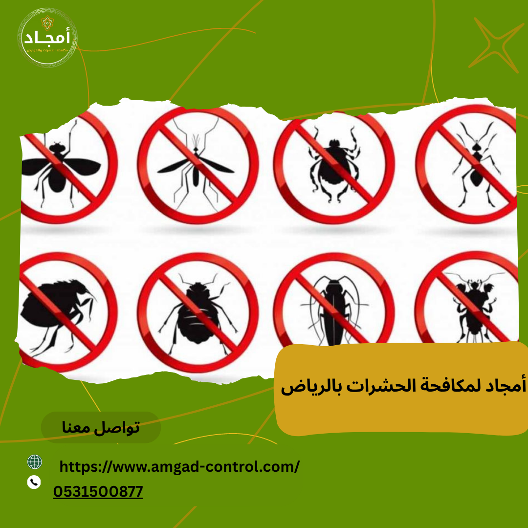 شركة مكافحة الحشرات والقوارض بالرياض