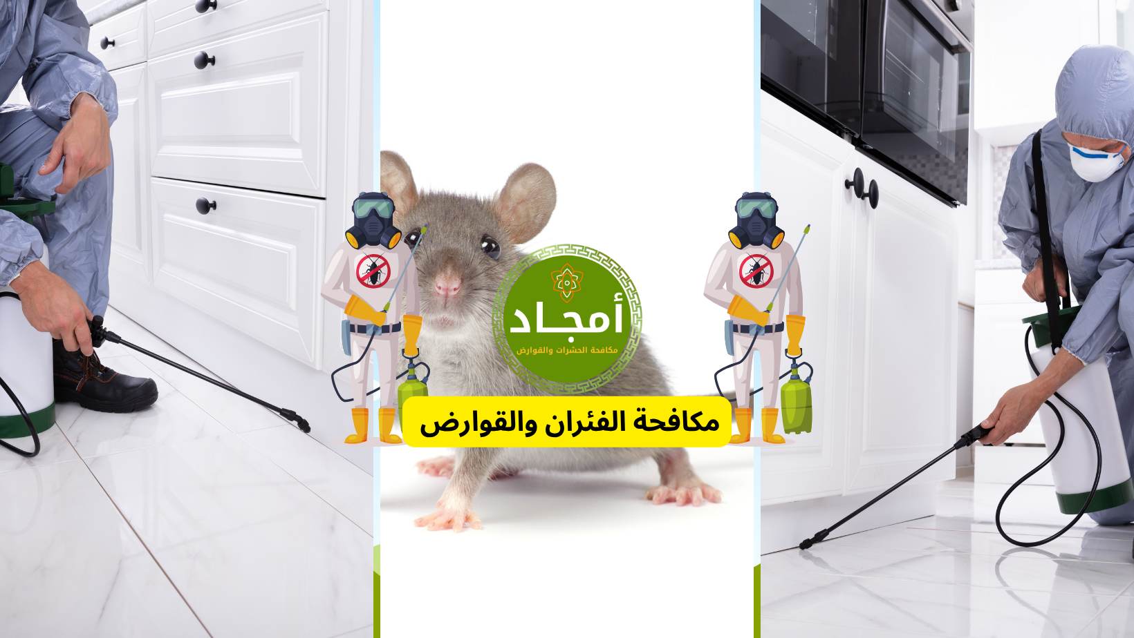 مكافحة الفئران بالرياض – شركة أمجاد لمكافحة الحشرات والقوارض