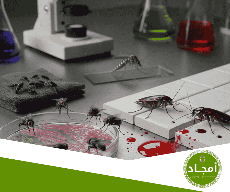 الحشرات الناقلة للأمراض: مخاطر صحية لا يجب تجاهلها