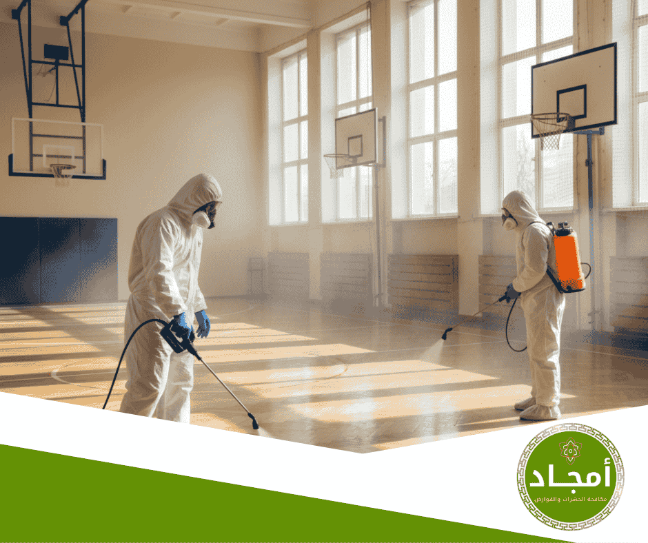دور التعقيم الوقائي في تقليل عودة الحشرات بعد المكافحة