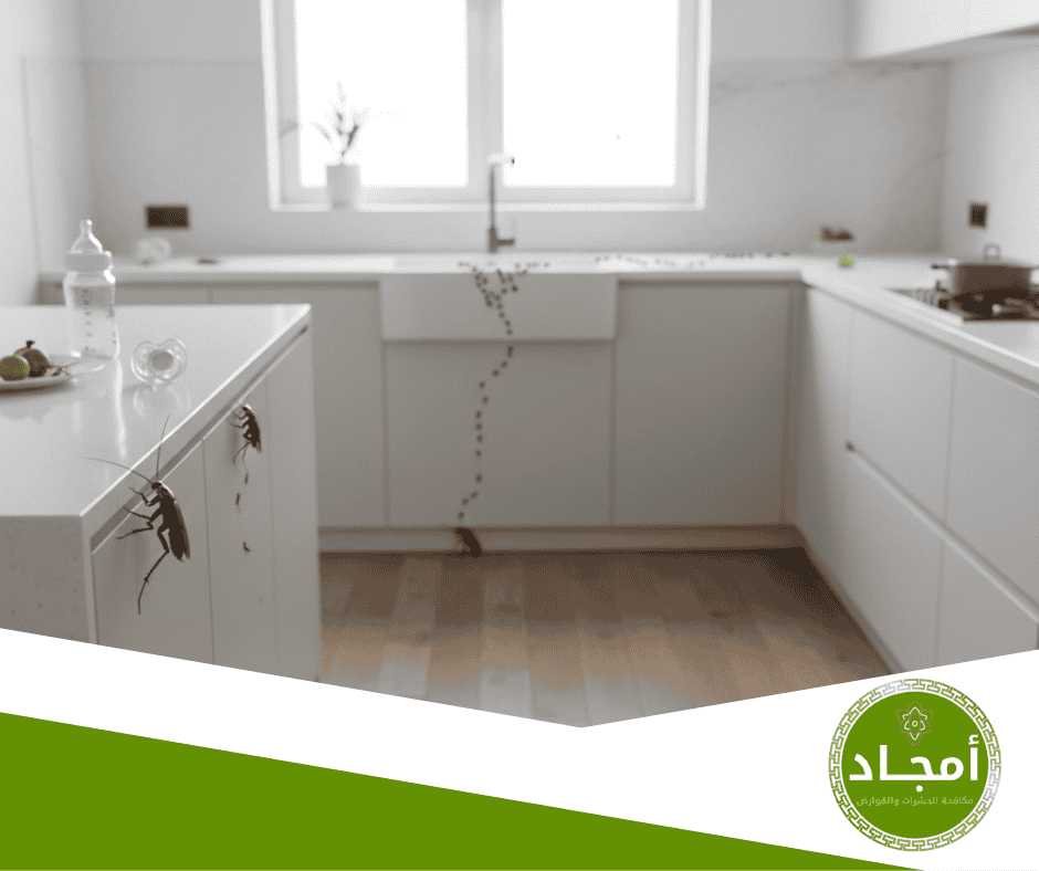 لماذا تفشل الحلول التقليدية في القضاء على الحشرات؟ نظرة علمية من خبراء أمجاد