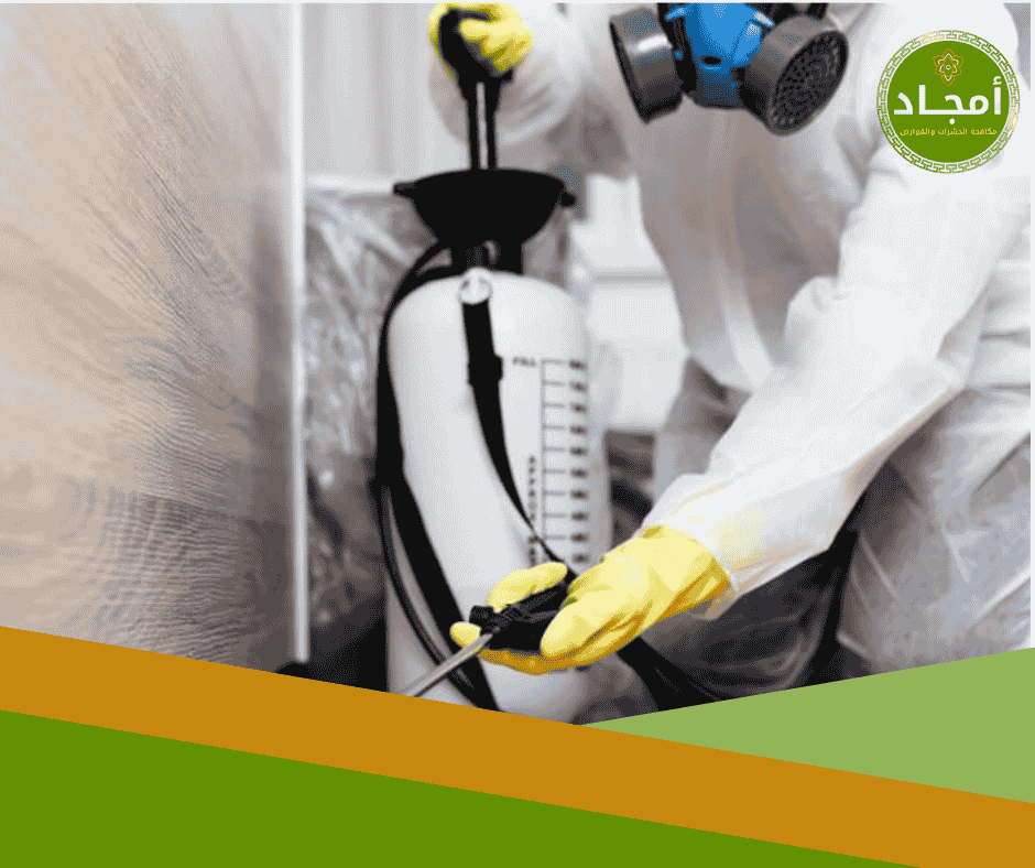 من التشخيص إلى الإبادة: المراحل الخفية في خدمات مكافحة الحشرات الاحترافية