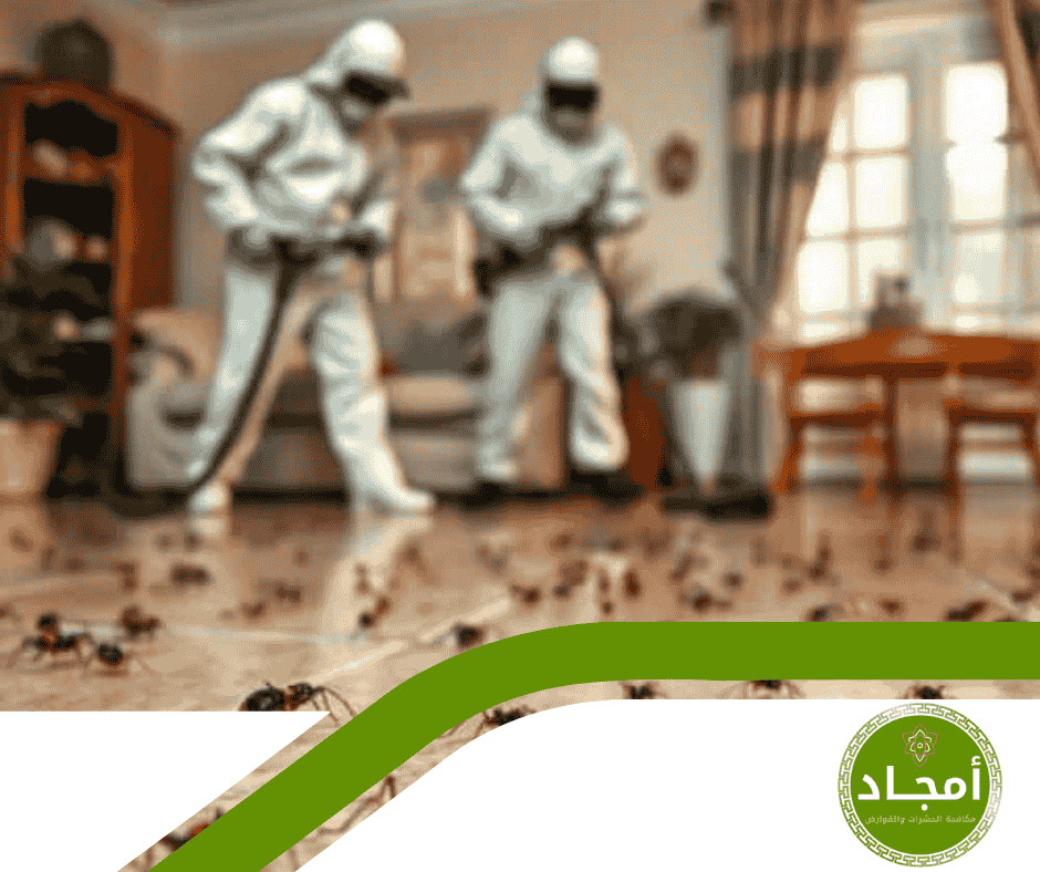 كيف تحمي منزلك الجديد من الإصابة بالحشرات قبل السكن؟