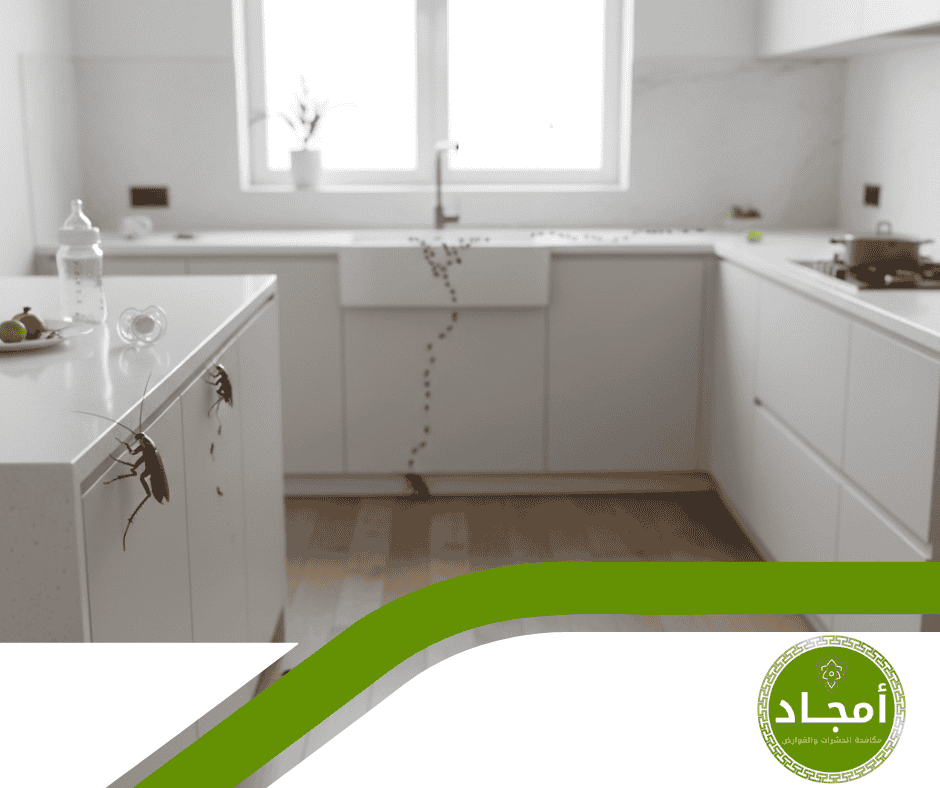 ما الذي يميز شركات مكافحة الحشرات المعتمدة عن غيرها؟