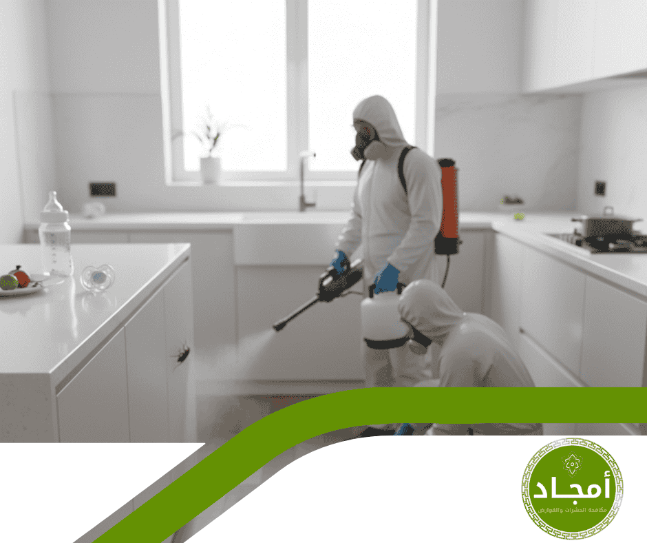 مخاطر انتشار الحشرات في المنزل ودور شركة أمجاد في القضاء عليها نهائيًا