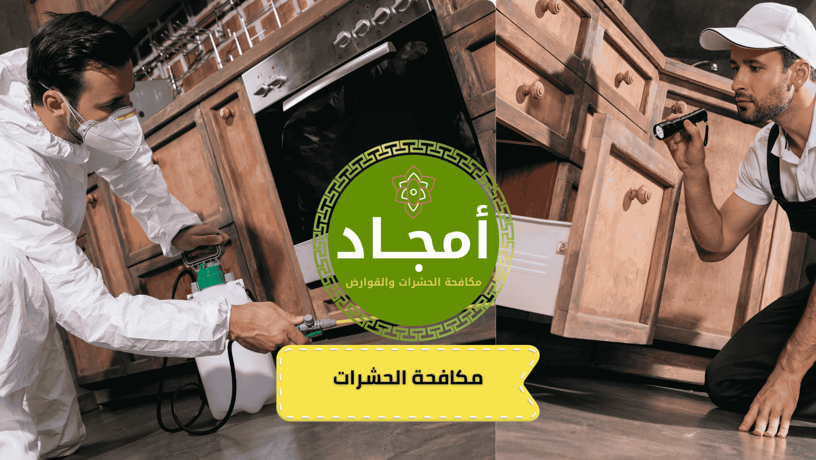 شركة مكافحة حشرات بالرياض