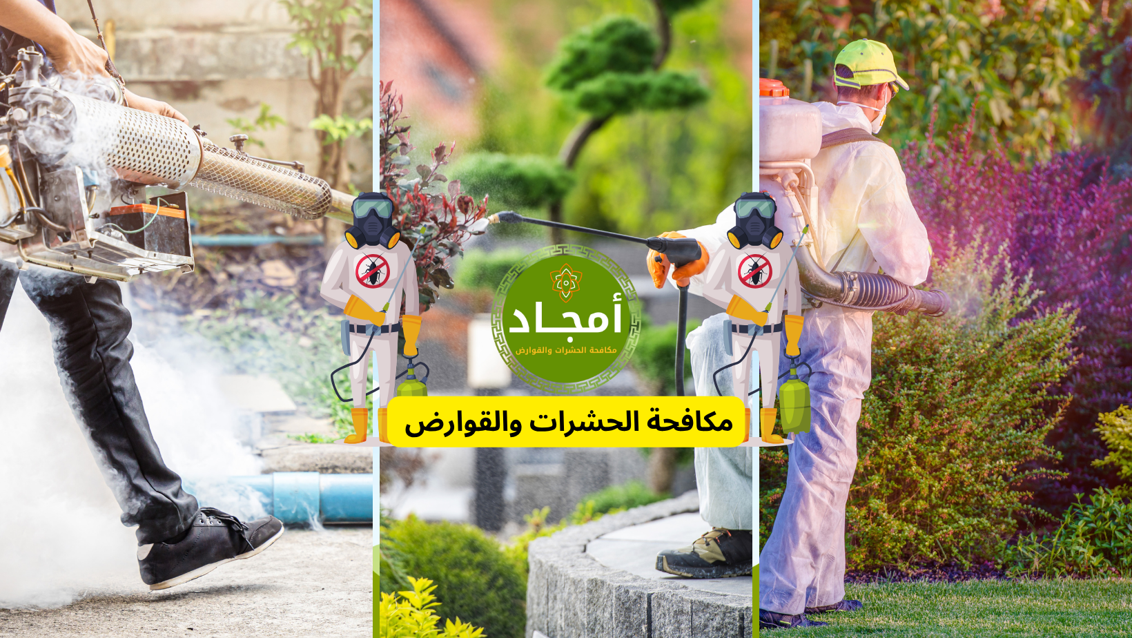 افضل شركة رش مبيدات حشرية