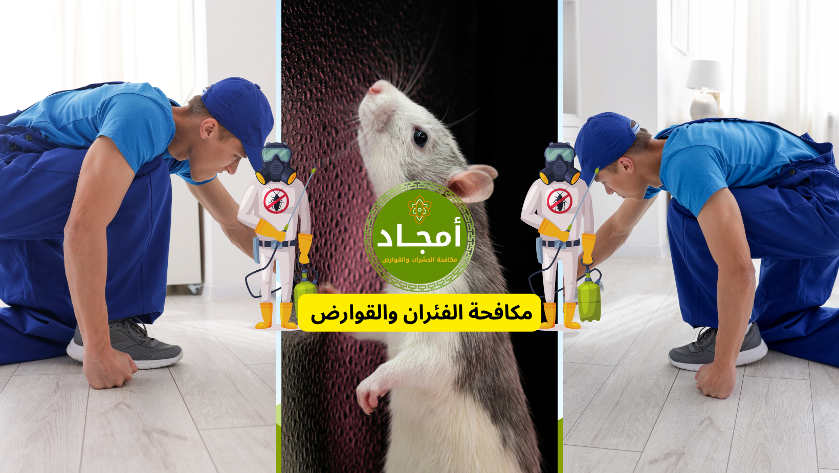 مكافحة الفئران بالرياض