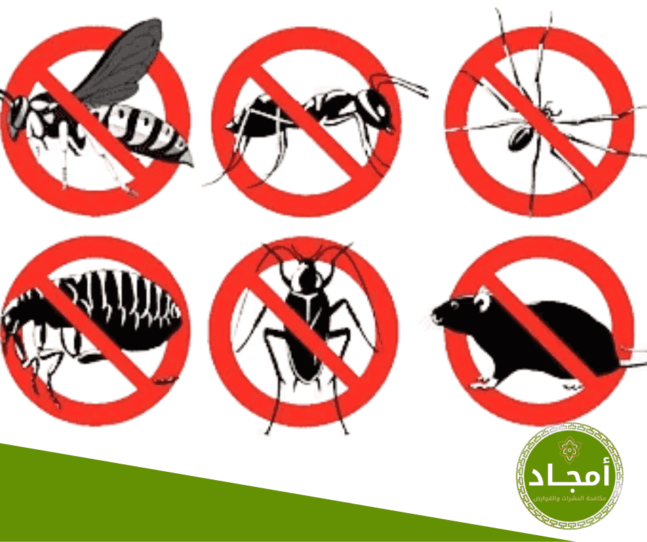الحشرات الناقلة للأمراض وتأثيرها على الصحة